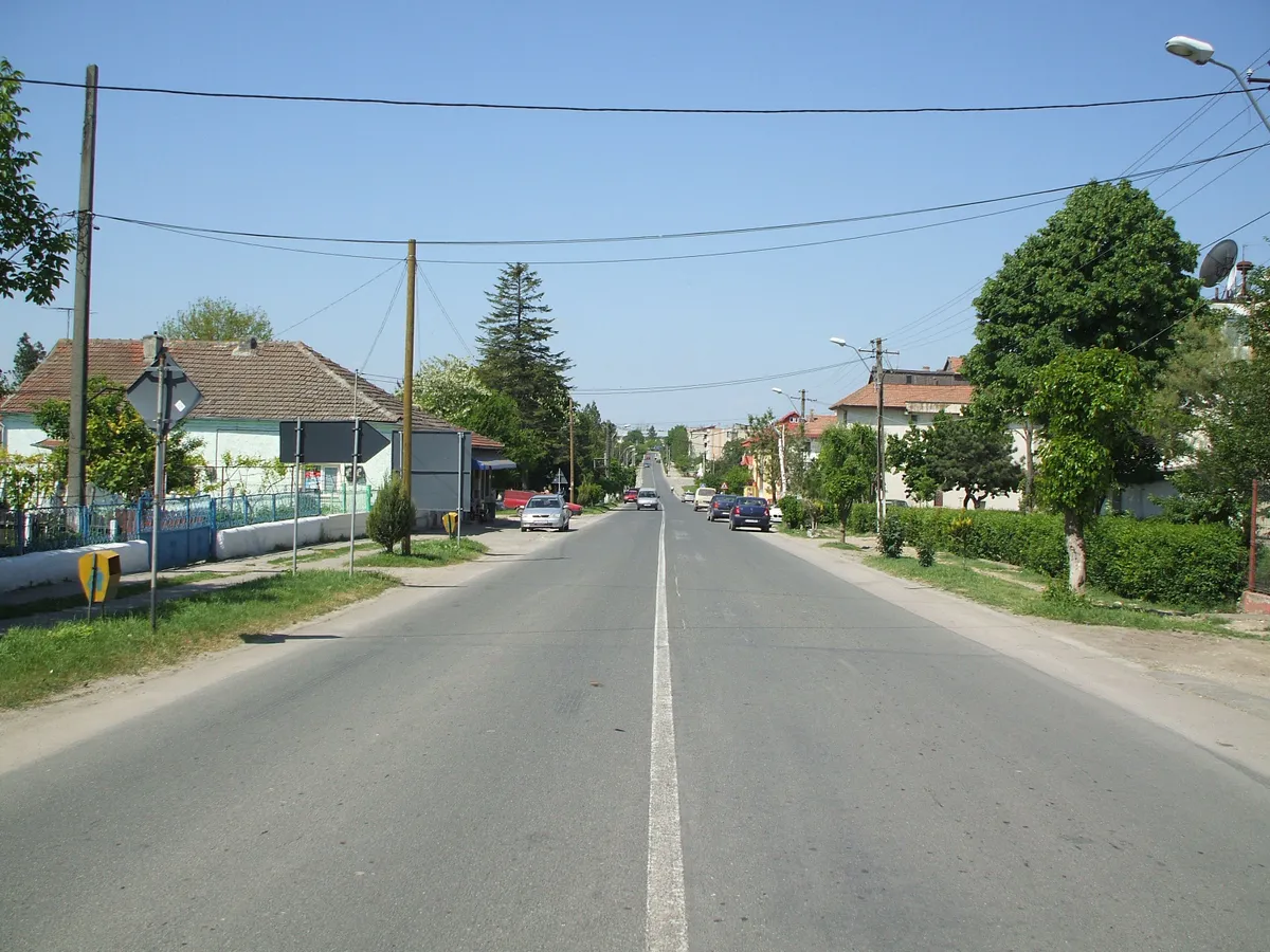 Negru Vodă centru