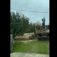 Un camion cu lemn de fag fără acte a fost depistat de activiștii de mediu intrând și descărcând în curtea Postului de Poliție din comuna Arbore. / Foto: captură video