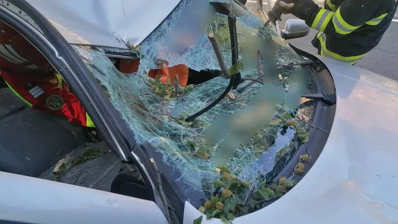 O creangă a căzut peste o mașină în mers și s-a înfipt în bazinul femeii care conducea Foto: ISU Crișana