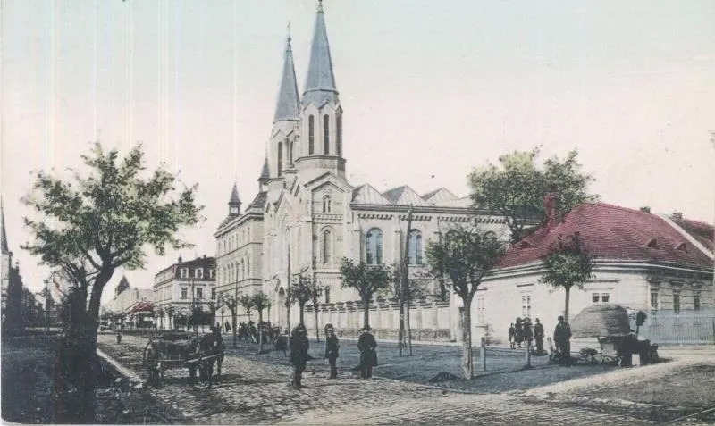 Strada asfaltata Timisoara veche