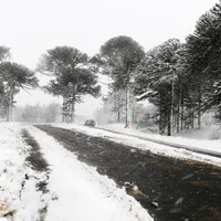 METEO Noi prognoze de la meteorologi. Vremea se schimbă. ANM a emis două alerte - Foto: Freepik. com (rol ilustrativ)