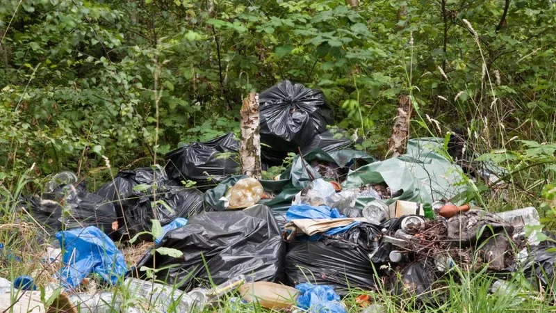 Un bărbat a primit amendă de 30.000 lei după ce a aruncat deșeurile într-o zonă extravilană - Foto: Arhiva (imagine cu rol ilustrativ)