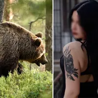 Mișcarea fatală făcută Diana care a activat instinctul de prădător feroce al ursului pe Jepii Mici - Foto: Facebook (colaj)