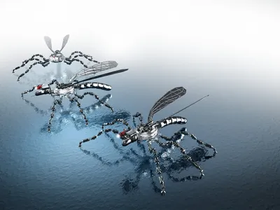 Mini-drone în formă de insecte - Foto: Profimedia (cu rol ilustrativ)