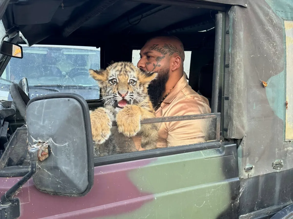 Fraţii Dani şi Ionuţ Mocanu, condamnaţi pentru tentativă de omor au fost plasaţi în arest la domiciliu
