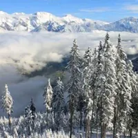 A treia avalanşă mortală în Austria în 24 de ore: Bilanţul a ajuns la opt victime / Evening Standard