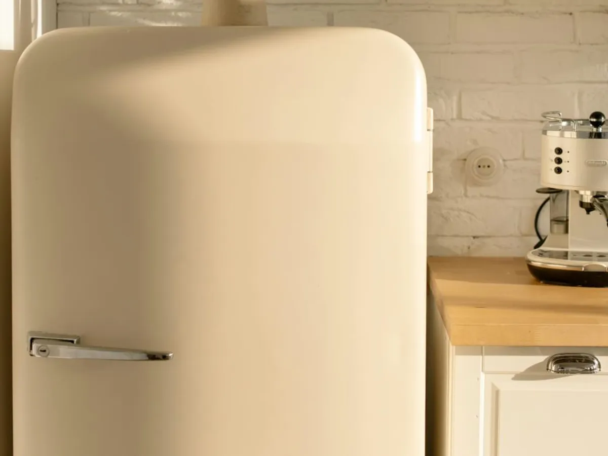Există frigiderul care funcţionează fără curent electric. Care este secretul? - Foto: Pexels/cottonbro studio