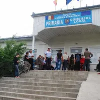 Primăria Dimăcheni, din Botoșani