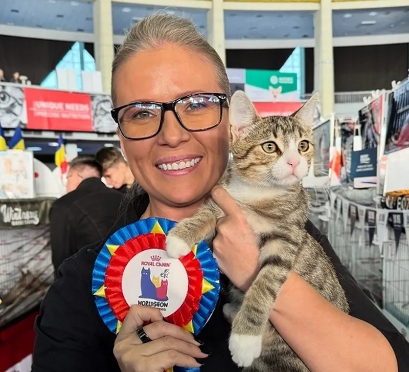 Titlul de popularitate, câștigat de un motănel salvat de pe stradă - Foto: news.ro