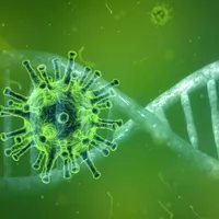 Noua tulpină este extrem de contagioasă/ FOTO: Pixabay