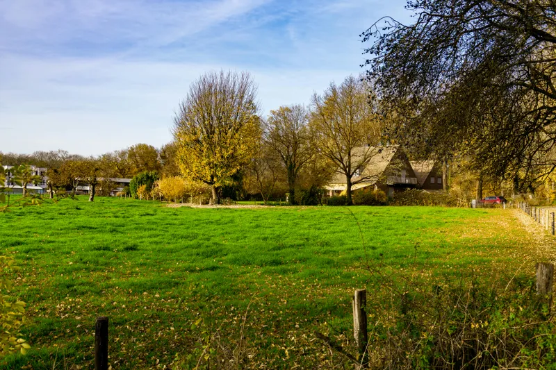Teren Foto: Pexels (imagine cu rol ilustrativ)