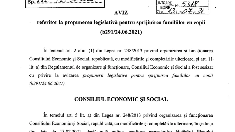Observațiile CES. Sursă: senat.ro
