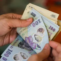 Județul din România unde se câștigă mai bine ca în străinătate, 100 euro/zi. Ce trebuie să faci? - Foto: Profimedia images (imagine rol ilustrativ)