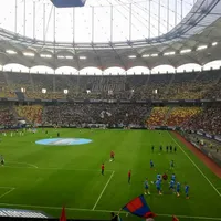 La derbiul FCSB – Dinamo, jucătorii vor intra pe teren însoţiţi de câini adoptabili/FOTO: Facebook/NationalArena