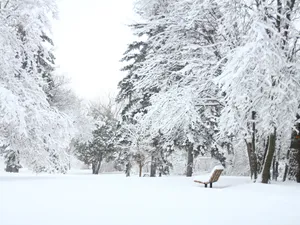 VREMEA Astăzi vine prăpădul alb. Sunt anunțate ninsori, lapoviță și ger în anumite orașe din țară Foto: Pexels (fotografie cu caracter ilustrativ)