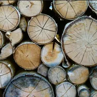 Ajutor pentru lemne/foto: PIXELES