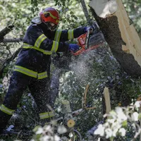 Vreme extremă în București. 19 acopaci, puși la pământ de vânt. 8 mașini au fost avariate FOTO: INQUAM PHOTOS/Octav Ganea