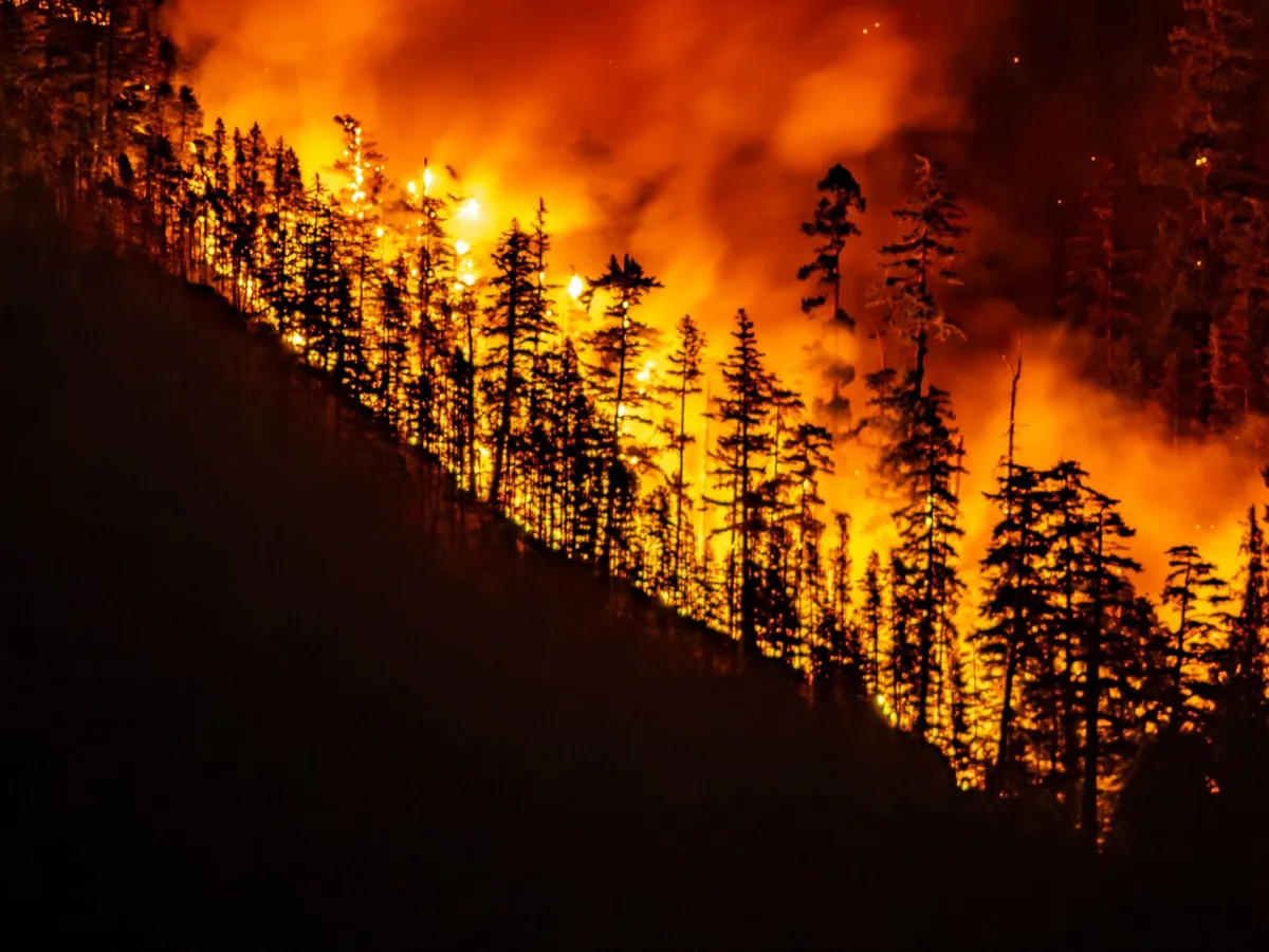 Sicilia, cuprinsă de flăcări! Zeci de incendii devastatoare sunt alimentate de caniculă și vânt puternic