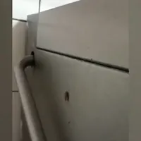 Și gândacilor le place pizza. Protecția consumatorului a închis o pizzerie arhicunoscută. - Foto: captură video