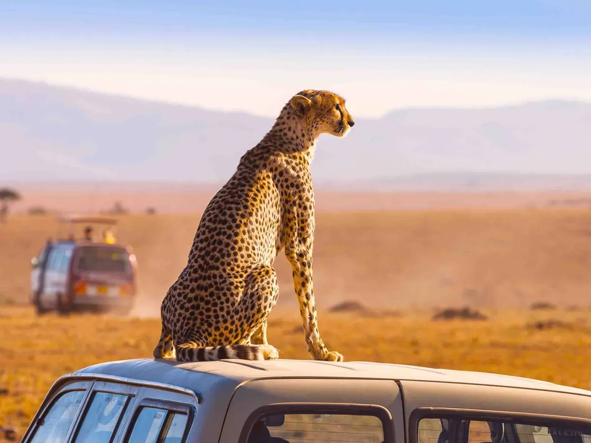 Foto: South Africa Tourism