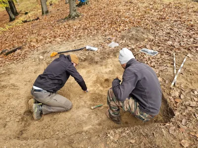 Doi români au găsit o comoară într-o pădure. Au găsit 1000 de monede cu detectorul de metale Foto: Turnul Sfatului