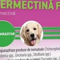 Spre medicamentul de uz veterinar s-au îndreptat românii ca să se trateze de COVID. Sursa imagine: Facebook Ovidiu Roșu