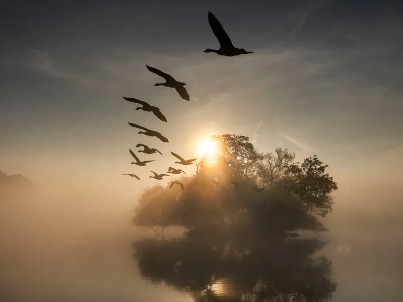 Astăzi este echinocţiul de toamnă. Când trece România la ora de iarnă - Foto: Profimedia Images - Imagine cu rol ilustrativ