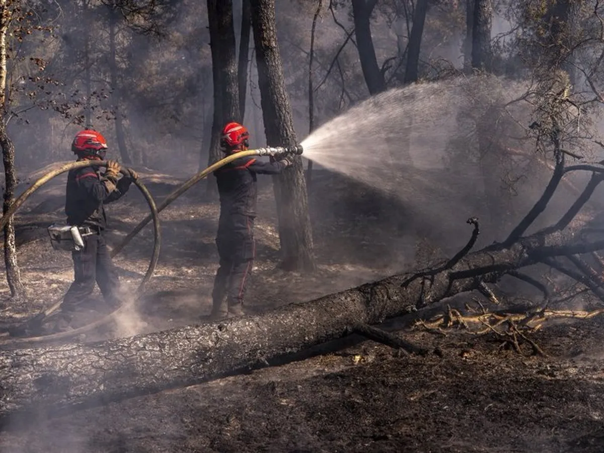 Macron, mesaj dramatic despre incendiile din Franța: Peste 60.000 de hectare au fost mistuite de flăcări