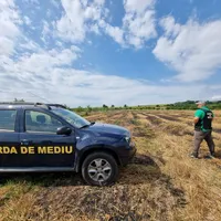 Amenzi usturătoare date de Garda de Mediu după ce au fost depășite concentrațiile de hidrogen  - Foto: Arhiva