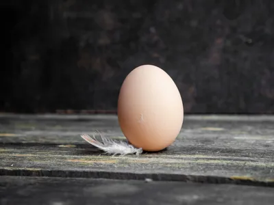 Ouă Foto: Freepik (imagine cu rol ilustrativ)