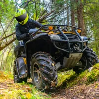 Cu ce amendă s-au ales câțiva turiști pentru că au intrat cu vehicule cu motor în pădure? - Foto: Profimedia / imagine rol ilustrativ