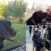 Penitenciarul Iaşi a pierdut un camarad loial: cățelușa Tina. Ea a mers la percheziții ani de zile Foto: colaj observator