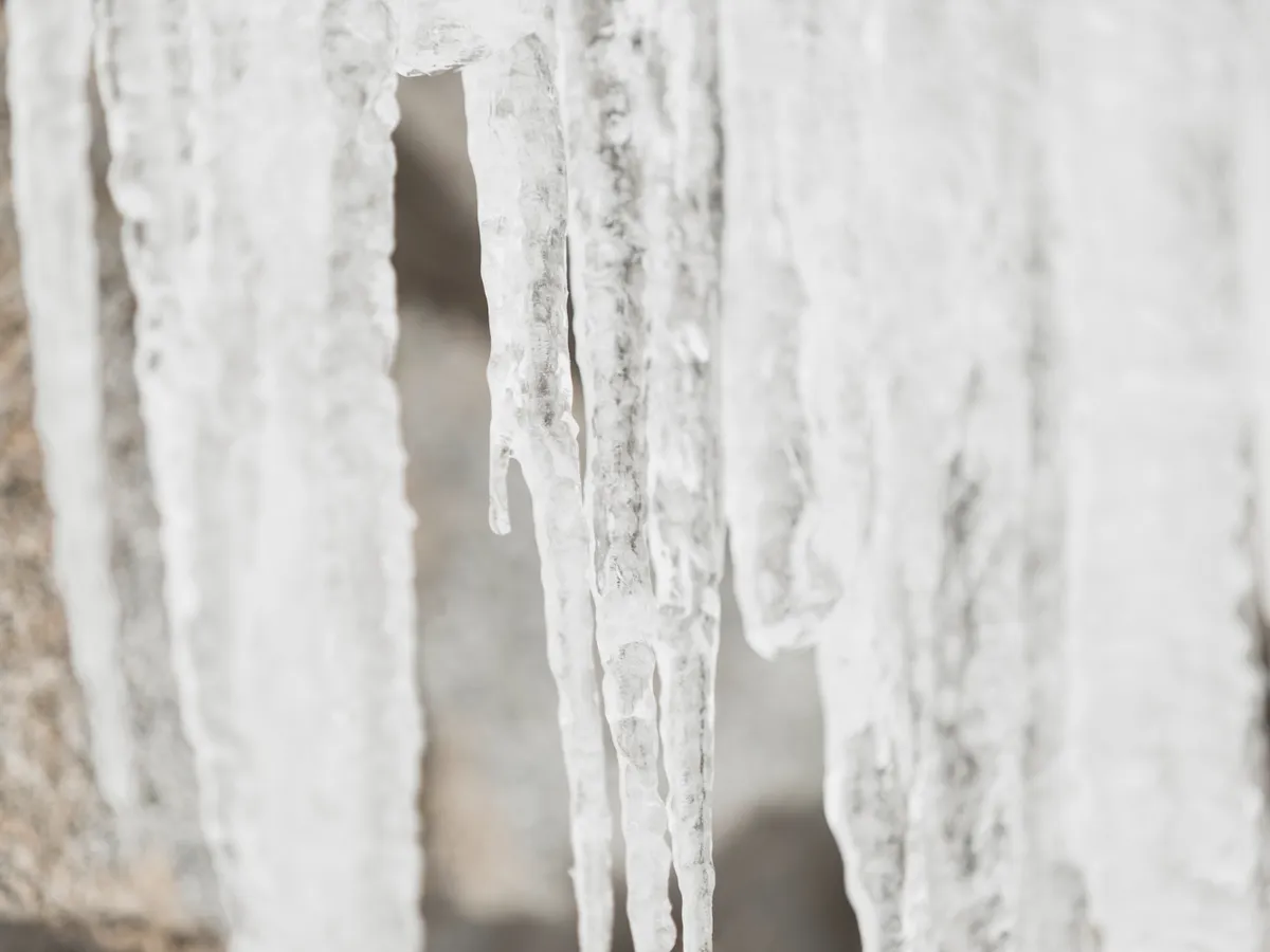 Țurțuri - Foto: Freepik (Imagine cu rol ilustrativ)