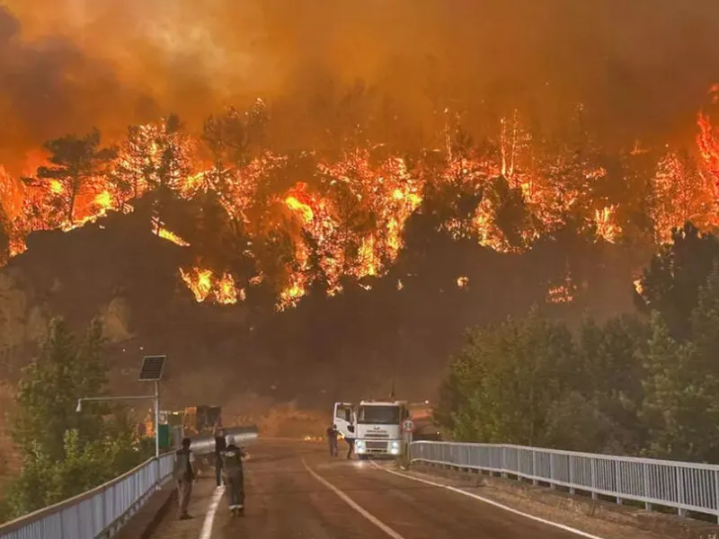 Sudul Europei arde la propriu. Incendii masive de vegetație în două țări iubite de români - Foto: Arhova