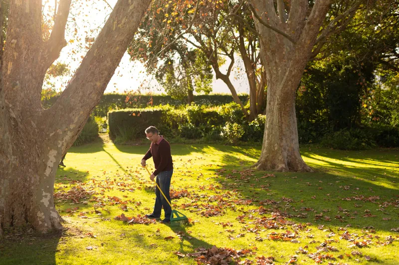 Bărbat care strânge frunzele din grădină - Foto: Freepik (rol ilustrativ)