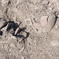 Noi descoperiri, în situl Păuleni - Ciuc Dâmbul Cetăţii: Amforete şi vase de peste 4.000 de ani - Foto: Facebook/MNCR - Muzeul Naţional al Carpaţilor Răsăriteni