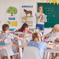 Veste proastă pentru profesorii plătiți cu ora. Le scad veniturile. Ministrul Educației explică - Foto: Freepik.com (Imagine cu rol ilustrativ)