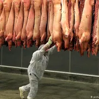 Foto: Deutsche Welle