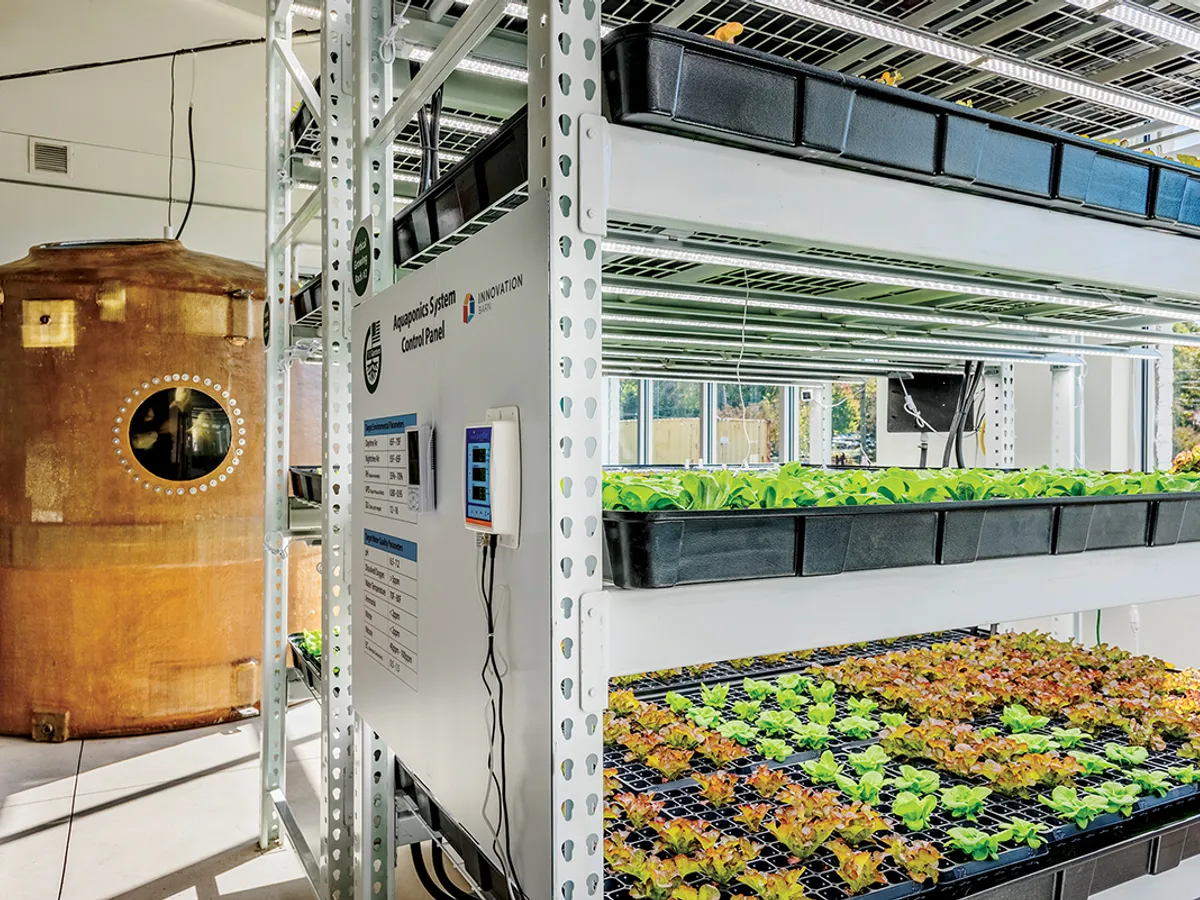 Ferma verticală Aquaponics