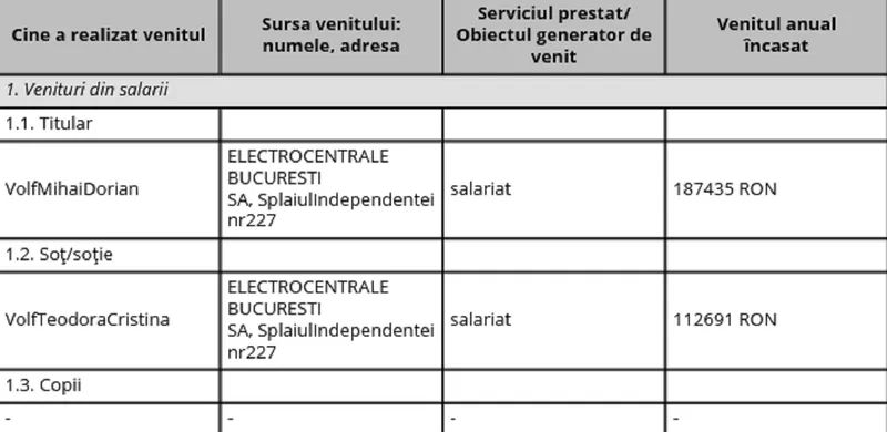 declarație de avere