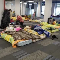 100 de animăluţe de companie au ajuns la centrul de refugiaţi de la eGros Iaşi/FOTO: ziaruldeiasi.ro