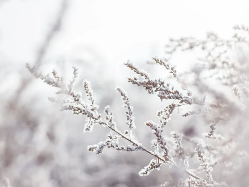 VREMEA Ger de îngheață pietrele în acest sfârșit de săptămână. Record de temperaturi cu minus Foto: Pexels (fotografie cu caracter ilustrativ)