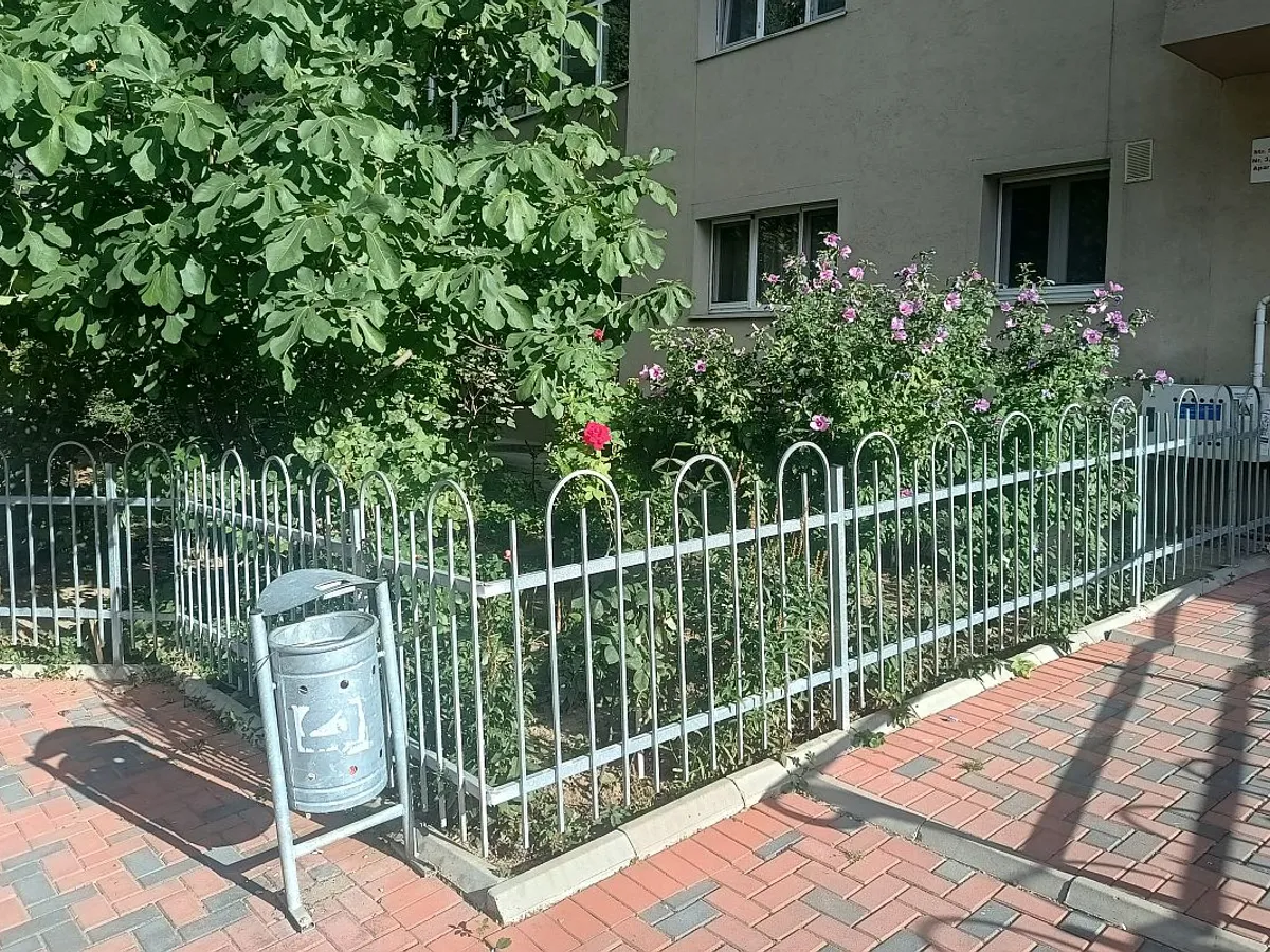 Sărbătoarea plantelor verzi şi florilor, în grădinile bucureştenilor. Doar că nu sunt grădinile lor - Foto: Florin Budescu