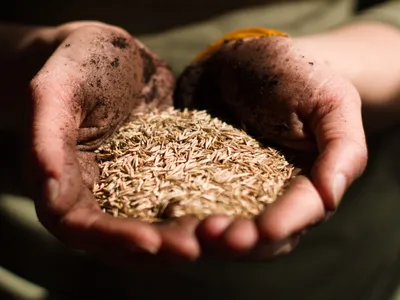 Lumea va rămâne fără mâncare în 27 de ani /foto: foodtank