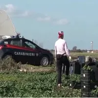 Carabineirii au făcut 15 arestări într-un dosar în care muncitori români au fost exploatați și șantajați Foto: quicosenza.it