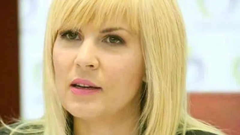 Ultimul termen al procesului privind extrădarea din Bulgaria a fostului ministru al Turismului Elena Udrea. / FOTO: facebook.com
