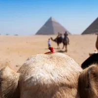 Plimbare cu cămila la piramide - Foto: Freepik (imagine cu rol ilustrativ)