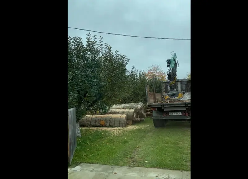 Un camion cu lemn de fag fără acte a fost depistat de activiștii de mediu intrând și descărcând în curtea Postului de Poliție din comuna Arbore. / Foto: captură video