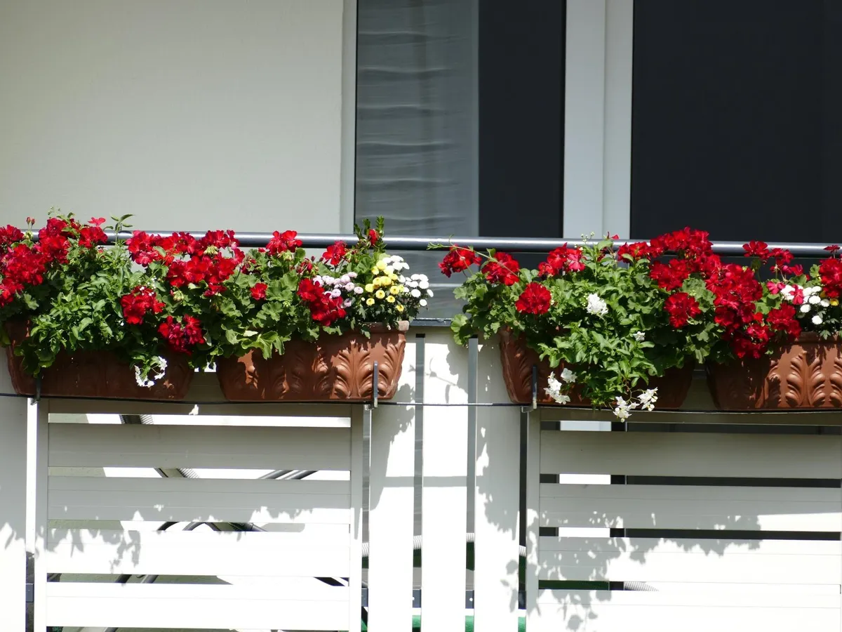 AMENDĂ de 1.500 de lei pentru românii care stau la bloc și au flori în balcon. Pot face închisoare - Foto: Freepik (imagine cu rol ilustrativ)