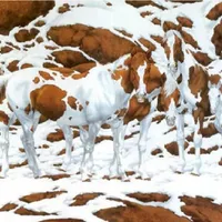 Iluzie optică. Puțini sunt ci care află răspunsul corect Foto: Bev Doolittle
